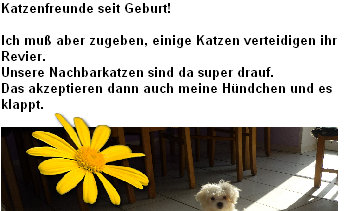 kiri001030.jpg