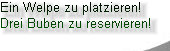 kiri001031.jpg